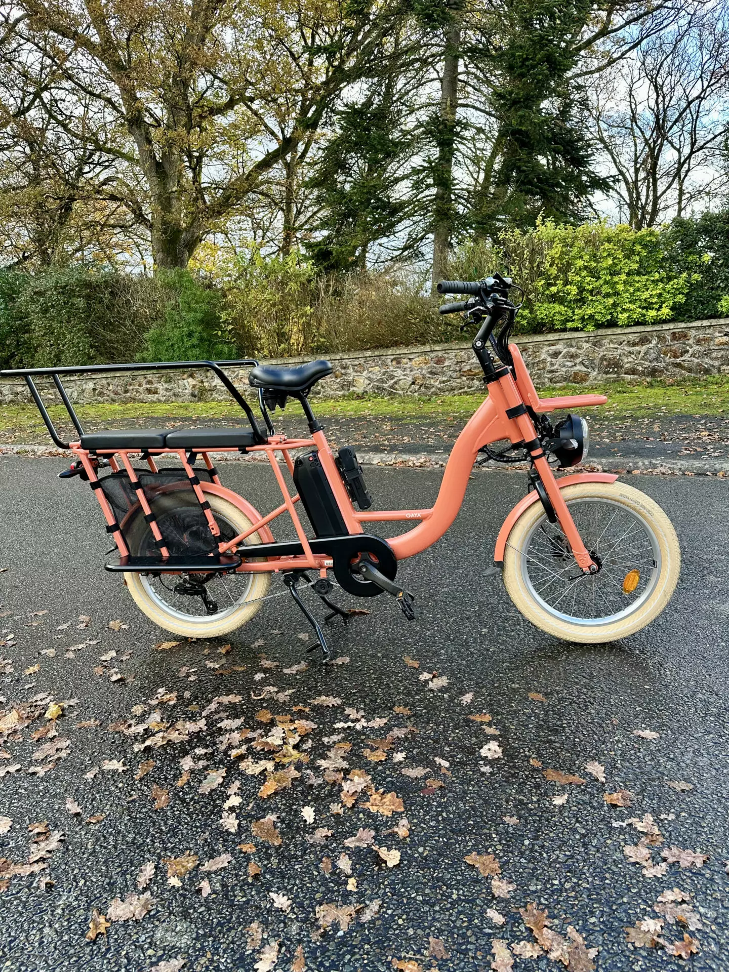 GAYA - Le cargo – Image 3