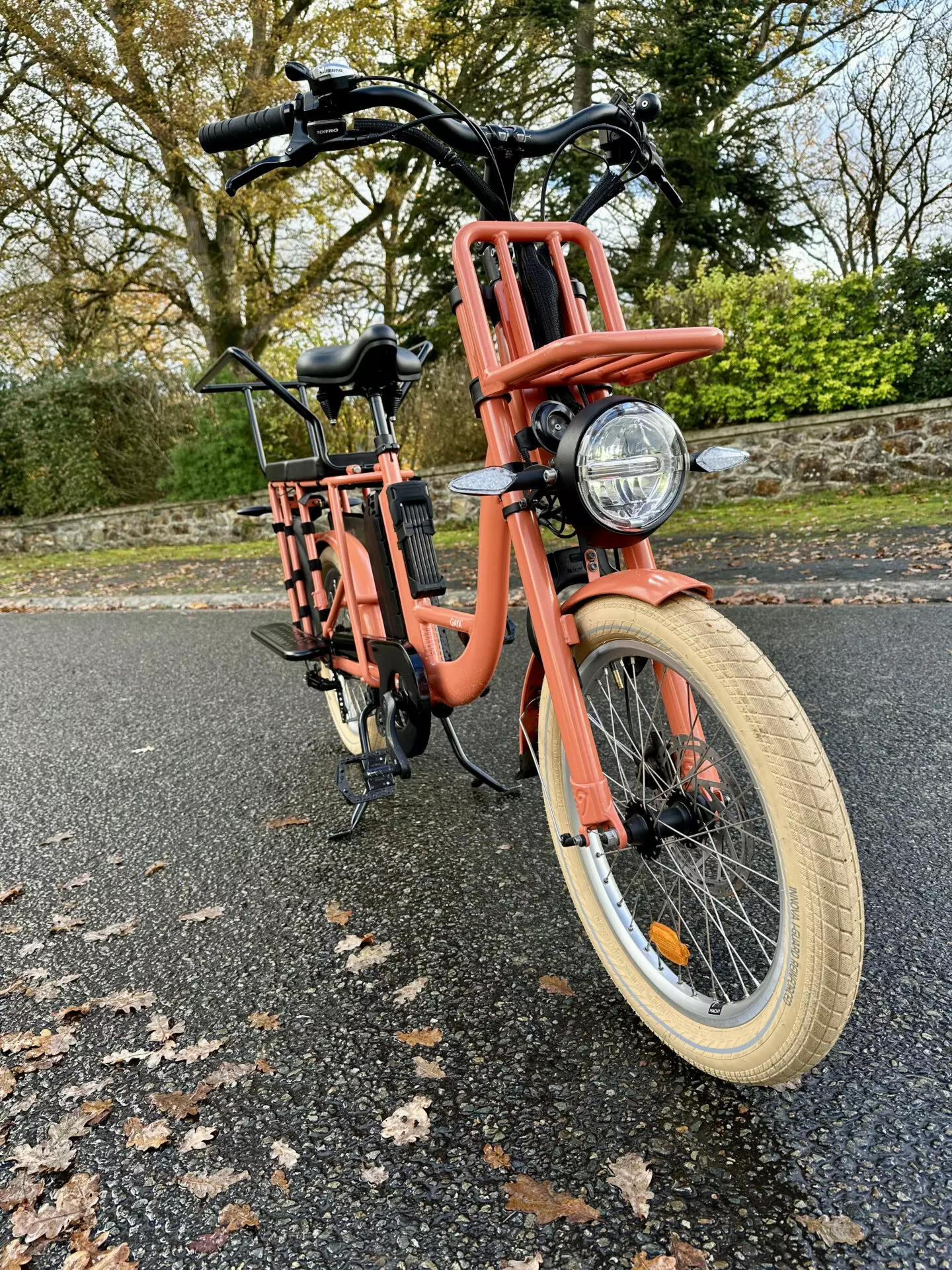 GAYA - Le cargo – Image 2